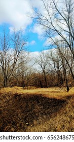 spring wonders