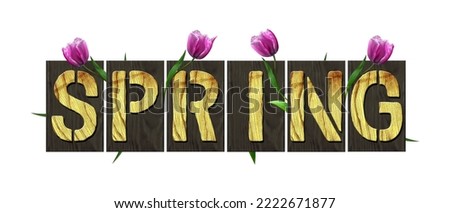 Spring. Word from wooden letters, with green grass and tulips, isolated on white background. Seasons. Background.