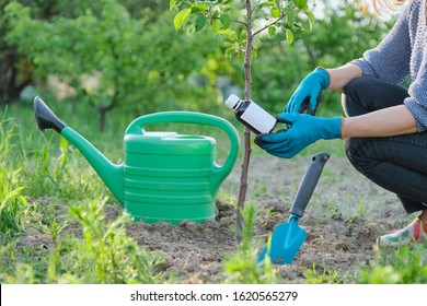 Spring work in the garden, bottle of chemical fertilizer, fungicide in hand of woman gardener. Processing and care of small fruit tree