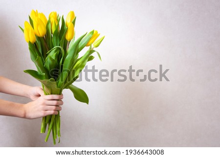 Spring yellow tulips. Woman holding a bouquet on white background. Flat lay, top view. Tulip flower background. Add your text. High quality photo