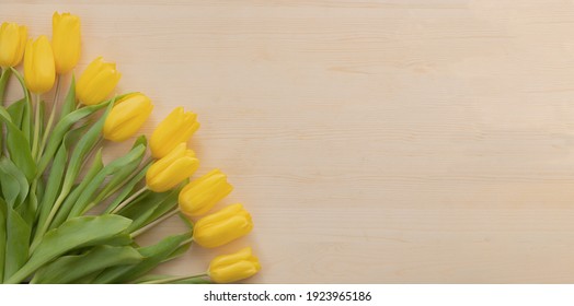 spring yewoll tulips on wood stock phototulpan