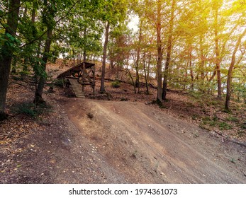 Springboard On The Forest Track For Downhill