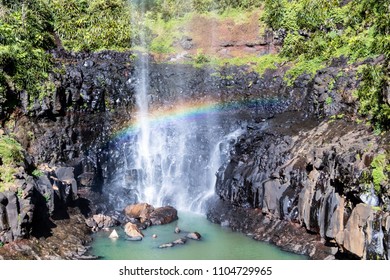 Springbrook National Park