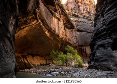 Springdale, UT, USA 02-02-22 The Narrows In Zion National Park