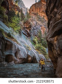 Springdale, UT, USA 02-02-22 The Narrows In Zion National Park