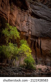 Springdale, UT, USA 02-02-22 The Narrows In Zion National Park