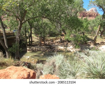 Springdale, UT, USA - Aug 2021: Zion National Park