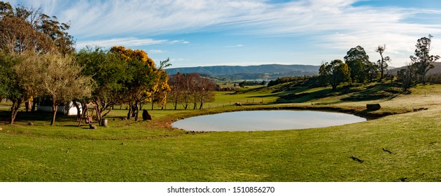 Springfield Deer Park Tasmaina Australia