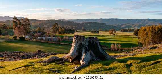 Springfield Deer Park Tasmania Australia