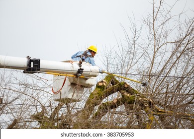 SPRINGFIELD, OR - FEBRUARY 16, 2016: Utility worker trimming a tree for power line access in Springfield Oregon.