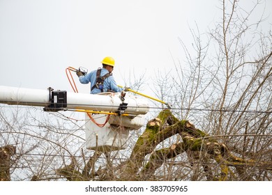 SPRINGFIELD, OR - FEBRUARY 16, 2016: Utility Worker Trimming A Tree For Power Line Access In Springfield Oregon.