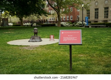 Springfield, MA - May 2022: A wide angle shot of the Lorax display at the Dr. Seuss National Memorial Sculpture Garden