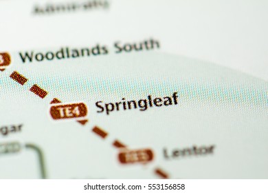 Springleaf Images, Stock Photos & Vectors | Shutterstock