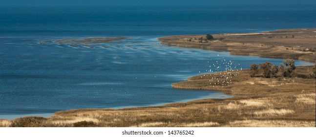 Spring-Polish Vistula Lagoon