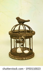 A Springtime Bird Egg Is Broken Inside A Birdcage. Covers Concepts Like Breaking Free, Captivity, And Confinement.