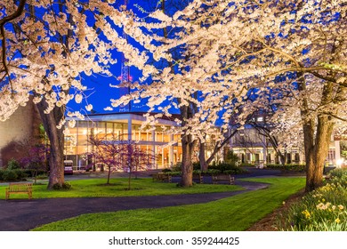 Springtime College Campus At Night.