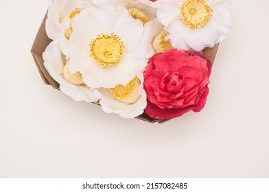 Springtime Decorative Bouquet With Camellia Inflorescences High Angle View