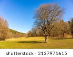 Springtime discovery tour through the Meiningen countryside near Wallbach - Thuringia - Germany
