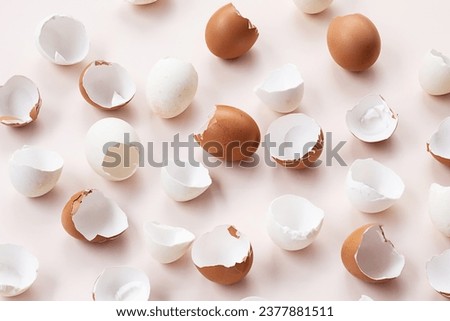 Springtime easter layout. Empty broken chicken eggshells.