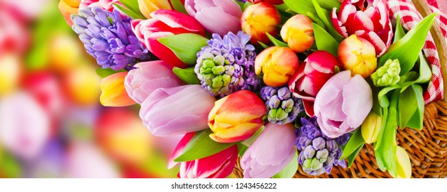Springtime flowers and decorations