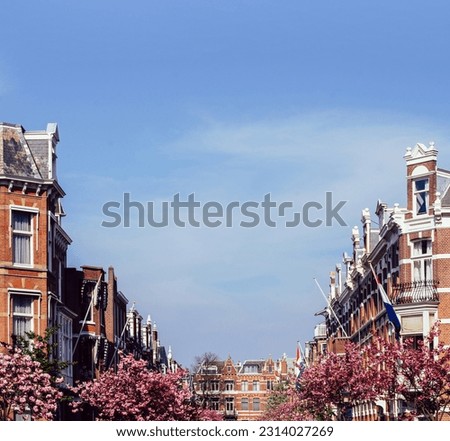 Springtime in the Hague, Netherlands with traditional Dutch houses on a upmarket street
