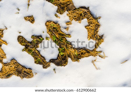 Springtime, large layer of snow melts on the ground and grass rises. Close up view from above