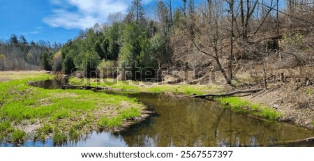 Springtime river flowing meandering through a lowland past trees and green grass under a blue sky.