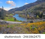 Springtime at the Rogue River 