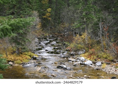 Springtime runoff of small streams draining into the Southfork of the Clearwater River off Highway to Elk City ID