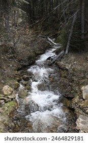 Springtime runoff of small streams draining into the Southfork of the Clearwater River off Highway to Elk City ID