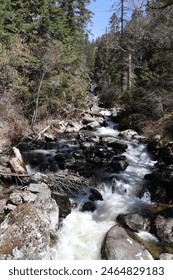 Springtime runoff of small streams draining into the Southfork of the Clearwater River off Highway to Elk City ID