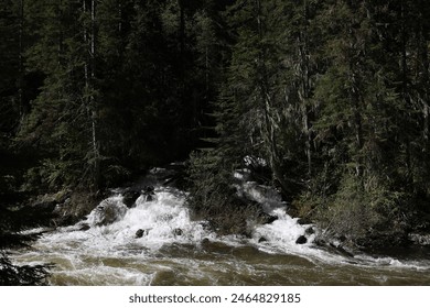 Springtime runoff of small streams draining into the Southfork of the Clearwater River off Highway to Elk City ID