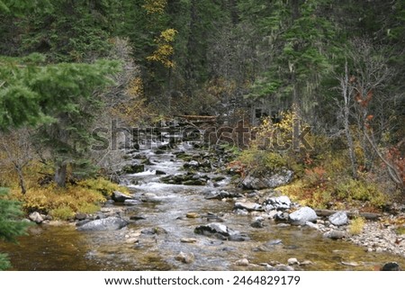 Springtime runoff of small streams draining into the Southfork of the Clearwater River off Highway to Elk City ID