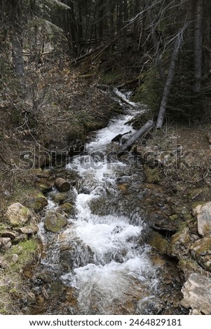 Springtime runoff of small streams draining into the Southfork of the Clearwater River off Highway to Elk City ID