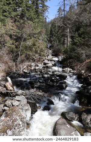 Springtime runoff of small streams draining into the Southfork of the Clearwater River off Highway to Elk City ID