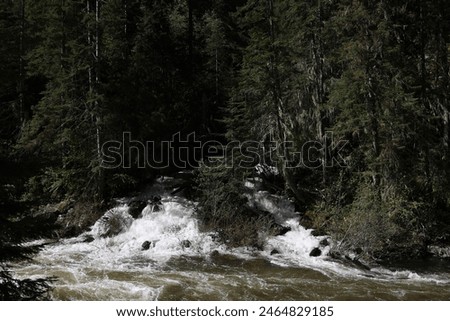 Springtime runoff of small streams draining into the Southfork of the Clearwater River off Highway to Elk City ID