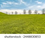 Springtime Scene of a Grassy Green Field Lined with Trees in the Distance. Small part of the sloping hill at the perimeter of view. Wispy clouds and blue skies overhead.