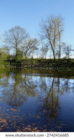 Springtime Spree River reflects leafless trees and emerging green foliage along riverbank with calm water mirroring sky and branches, tranquil urban nature scene in Berlin expressing seasonal renewal and environmental themes