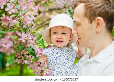 Springtime. Spring Sakura Bloom. Happy Couple In Sakura Flower Orchard. Tourist Family Walk In Sakura Park. Happy Family In Spring Garden.  Father And Small Son Together In Blooming Sakura Park.