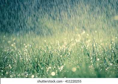 Springtime Or Summer Thunderstorm Rain Refreshing Nature Meadow