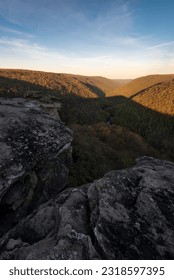 Springtime sunlight fills the Blackwater Canyon in Blackwater Falls State Park, West Virginia, viewed from Lindy Point.