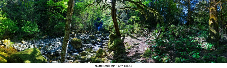 Springtime In Todd Creek In Potholes Park 2, Sooke, Vancouver Island