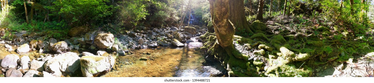 Springtime In Todd Creek In Potholes Park 1, Sooke, Vancouver Island