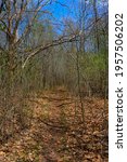 A springtime view of a walking path deep in a wooded area of southeastern Wisconsin in Case Eagle Park in Rochester.  The leaf covered narrow pathway is deep within a wooded area. 