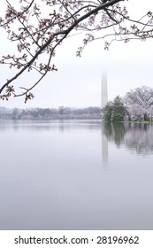 Springtime Washington Monument Lost in the Fog Vertical