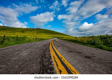 Springtime, Yokohl Valley, Rural Tulare County