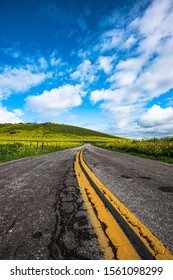 Springtime, Yokohl Valley, Rural Tulare County