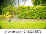 Sprinkler for automatic lawn watering. Lawn cultivation and care, garden irrigation devices. Rainbow over the garden on a sunny day.