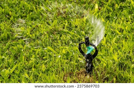 Sprinkler of automatic watering. Automatic sprinkler system watering the lawn