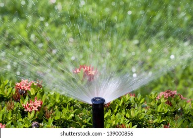 Sprinkler Head Watering The Bush And Grass